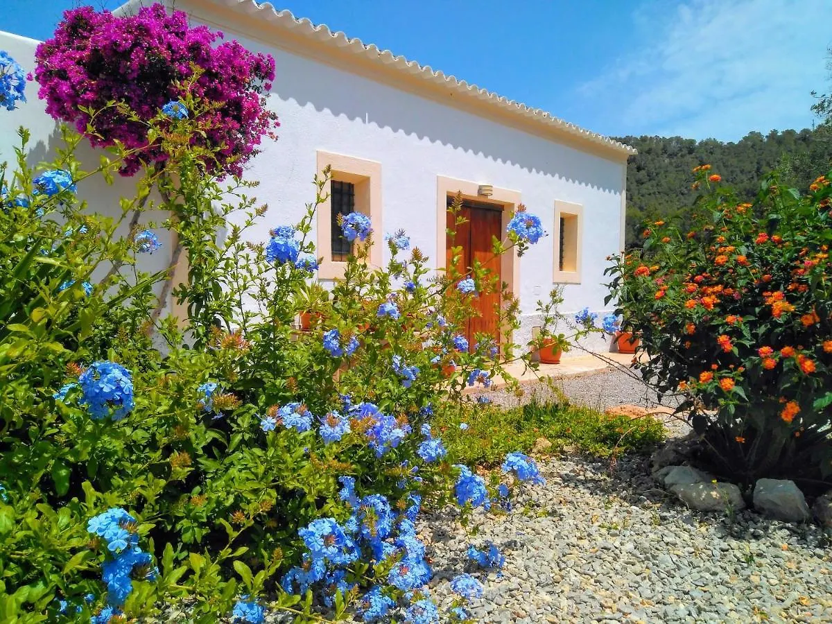 Holiday home Can Pep Pardal Sant Miquel De Balansat