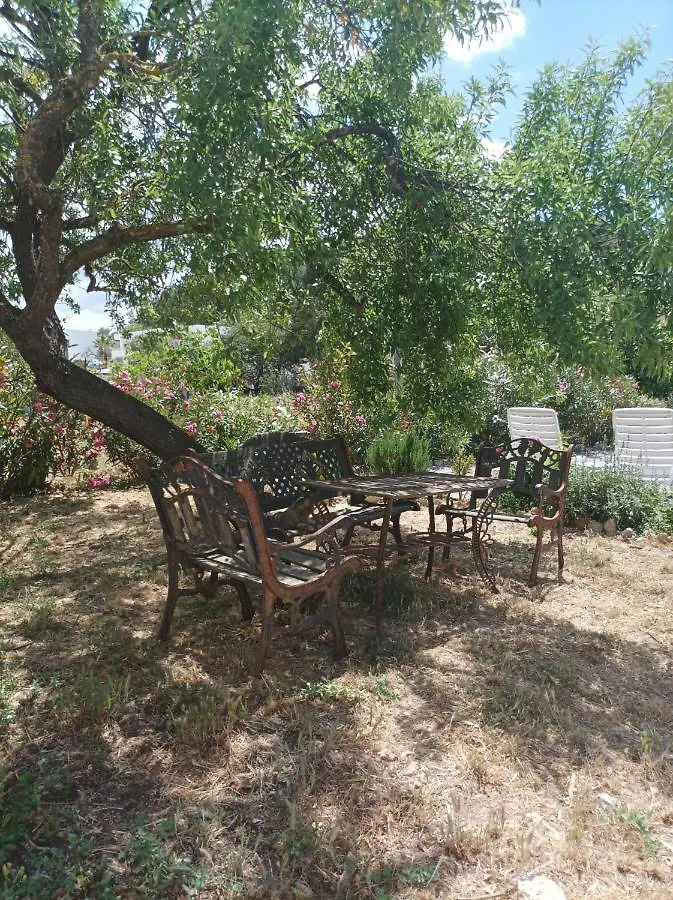 Holiday home Can Pep Pardal Sant Miquel De Balansat
