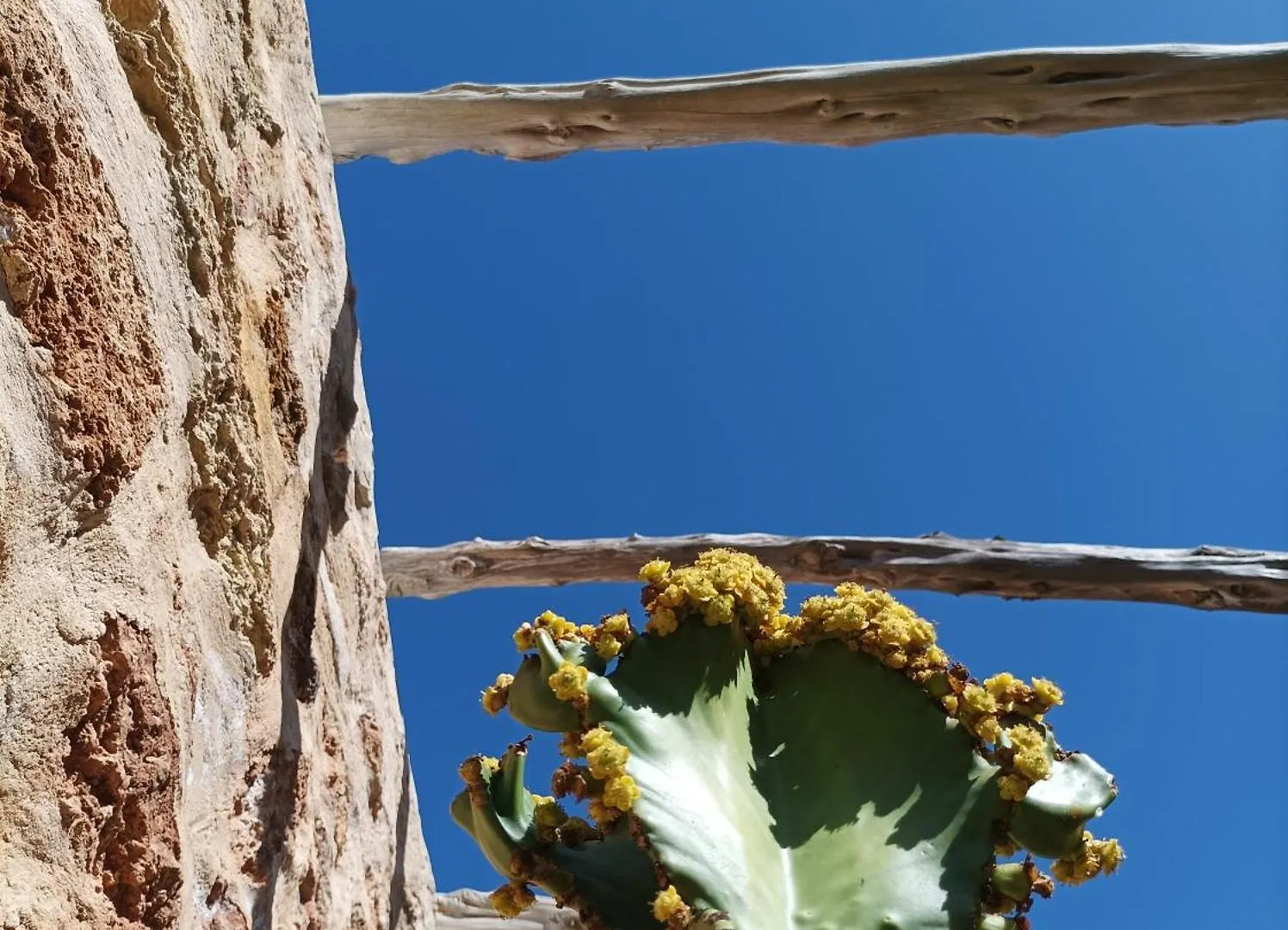 Can Pep Pardal Sant Miquel de Balansat Ισπανία